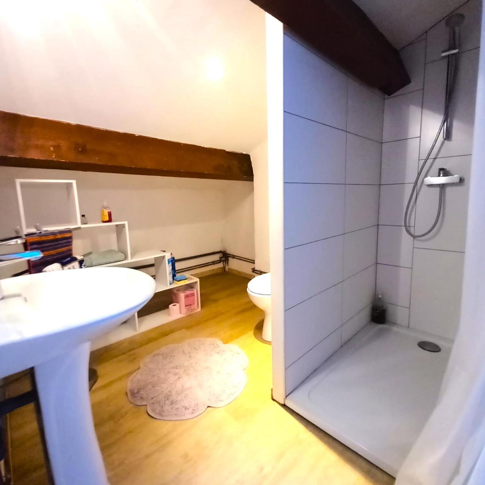 Appartement Duplex Atypique Centre Historique *